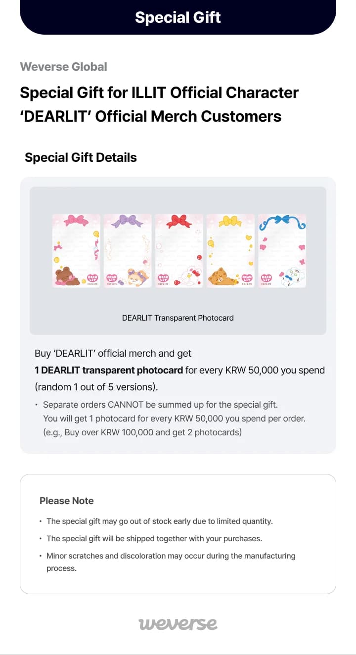 Photocard Holder 7